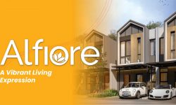 Cluster Alfiore